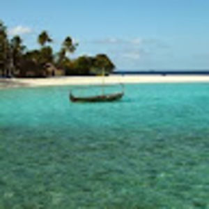 Meet your Posher, Tom